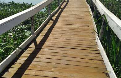 Imagem 6: Rancho em iacanga. 600m² de Área