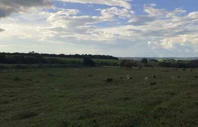 Imagem 11: Fazenda - Itapuranga GO. 