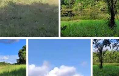 Imagem: A fazenda possui 1000m² de Área e está localizado em União