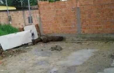 Imagem: A casa possui 2 Dormitórios, 2 Banheiros e está localizado