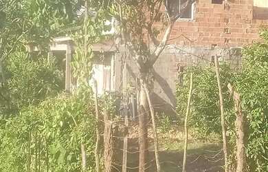 Imagem: A casa possui 4 Dormitórios, 2 Banheiros, 1.000m² de Área