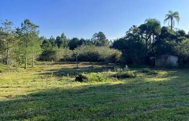 Imagem 5: Sítio Plano E Com Nascente Para Fazer Açude. ROB:630