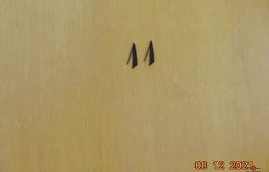 Imagem: O apartamento possui 3 Dormitórios, 1 Banheiro, 1 Vaga na garagem