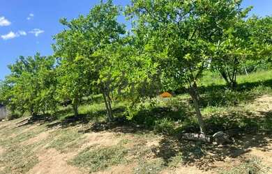 Imagem 13: fazenda - Centro - Montes Claros