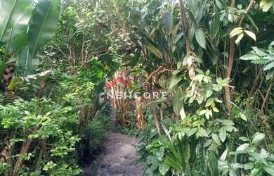 Imagem 4: Casa em Rua Nereu Ramos - Raul Veiga - São Gonçalo/RJ