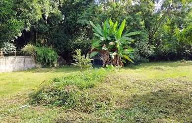 Imagem 2: terreno nivelado. 40m² de Área