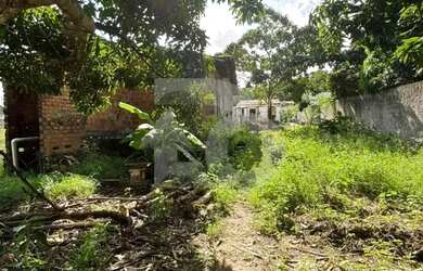 Imagem: O terreno possui 48m² de Área e está localizado em Areia