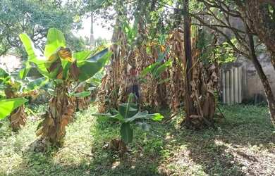 Imagem 11: terreno nivelado. 40m² de Área