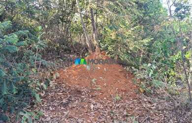Imagem 5: FAZENDA À VENDA - 193 HECTARES - INIMUTABA MG