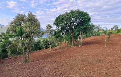 Imagem 6: Sítio / Chácara para Venda em Nova Petrópolis, Arroio Paixão