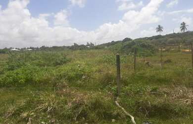 Imagem 3: Terreno na Praia do Abaís