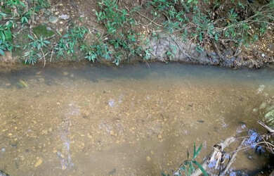 Imagem: A chácara e está localizado em Jaboticatubas, MG à venda