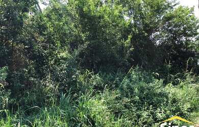 Imagem 3: Lote/Terreno para venda possui 370 metros quadrados em Lomba Grande -...