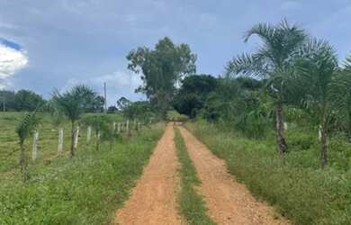 Imagem 10: Fazenda - Itapuranga GO. 