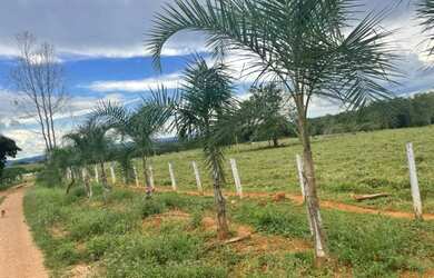 Imagem 4: Fazenda - Itapuranga GO. 