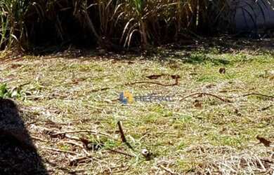 Imagem 14: Terreno à venda, 300 m² por R$ 310.000,00 - Jardim Catedral - Maringá/PR