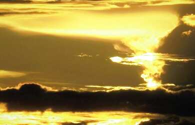 Imagem 9: Linda Ilha com 210 hectares Rio Madeira 63 km de porto velho