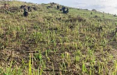 Imagem: O terreno possui 999m² de Área e está localizado em Centro