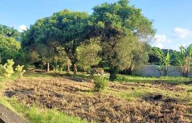 Imagem 5: Terreno para Venda em Rio de Janeiro, Ilha de Guaratiba