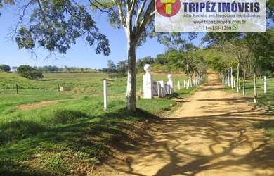 Imagem 11: Fazenda Espetacular em Jaguariúna / SP com 35 alqs FAZ 338