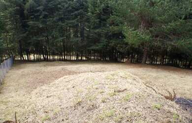 Imagem 4: Terreno à venda, 825 m² por R$ 380.000,00 - Jardim Embaixador - Campos do Jordão/SP