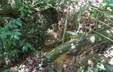 Imagem 14: Terreno - Atibaia. 1m² de Área