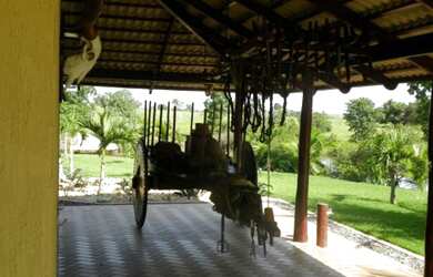 Imagem 14: Fazenda - São Miguel do Araguaia