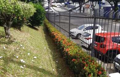 Imagem 12: Apartamento 2/4 revertido pra 3/4 na Villa Laura