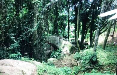 Imagem 4: Lote/Terreno para venda tem 1300 metros quadrados em Portogalo - Angra...