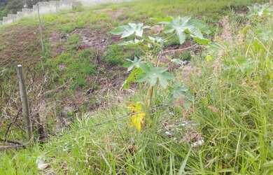 Imagem 5: Lote/Terreno para venda tem 500 metros quadrados em Quintas das Avenidas - Juiz de Fora