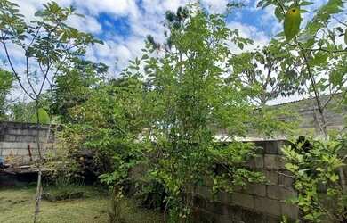 Imagem: Mini chácara com pomar em Itanhaém-SP