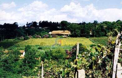 Imagem 11: Área à venda, 217800 m² por R$ 11.000.000,00 - Bairro Tapera Grande...