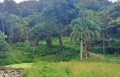 Imagem 16: Terreno para Venda em Rio de Janeiro, Ilha de Guaratiba