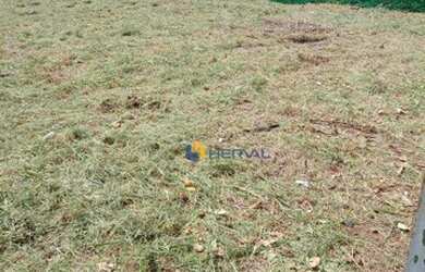Imagem 16: Terreno à venda, 300 m² por R$ 310.000,00 - Jardim Catedral - Maringá/PR