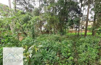 Imagem 10: Terreno em local alto no Jardim Paulista