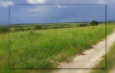 Imagem: A fazenda possui 3.057m² de Área e está localizado em General