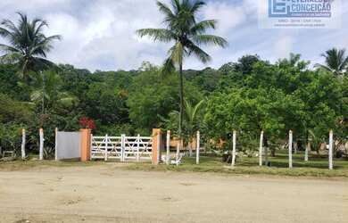 Imagem: A fazenda possui 13m² de Área e está localizado em Iguape