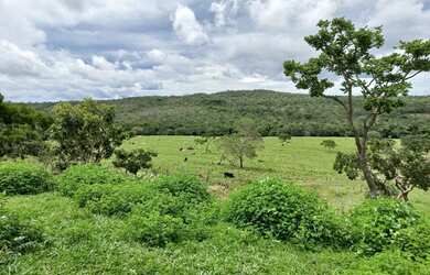 Imagem 8: Fazenda para Venda em Santa Cruz de Goiás, Zona Rural