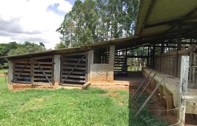 Imagem 11: Chácara 2 alqueires Município de Bela Vista Goias