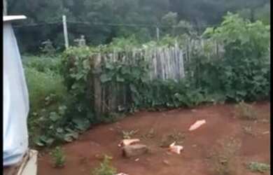 Imagem 5: Sítiozinho no alto do caraa