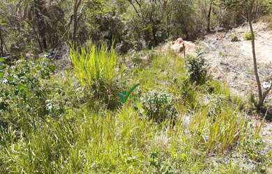 Imagem 8: Terreno à venda, 258 m² por R$ 150.000,00 - Liberdade - Santa Luzia/MG