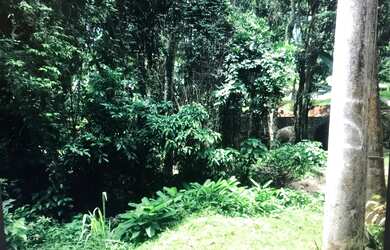 Imagem 2: Lote/Terreno para venda tem 1300 metros quadrados em Portogalo - Angra...