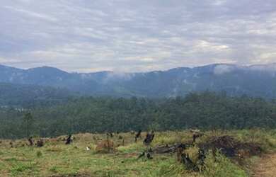Imagem: O terreno possui 999m² de Área e está localizado em Centro