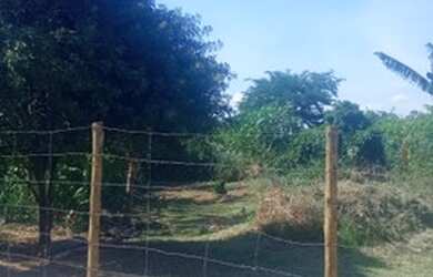 Imagem 3: Terreno em Sepetiba. 280m² de Área