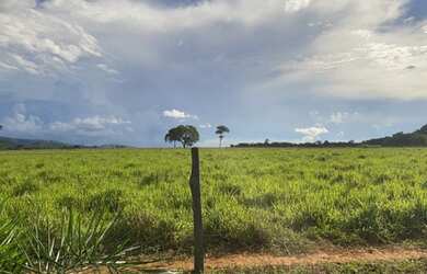 Imagem 12: Fazenda - Itapuranga GO. 