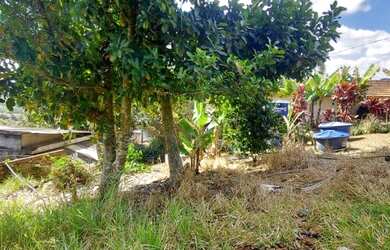 Imagem: O terreno à venda possui e está localizado em Ipelândia