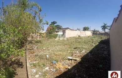 Imagem: O depósito possui 960m² de Área e está localizado em Vila