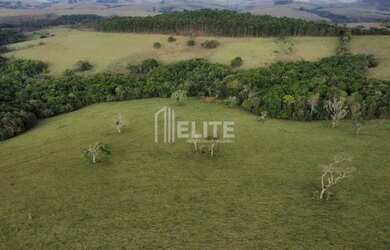 Imagem 10: 300 Hectares à Venda em Área de Plantio