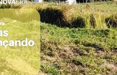 Imagem 3: Ag1- Lote/Terreno para venda com 500 metros quadrados em Jardim Colonial...