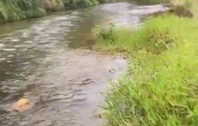 Imagem 2: Fazenda Manabuiu